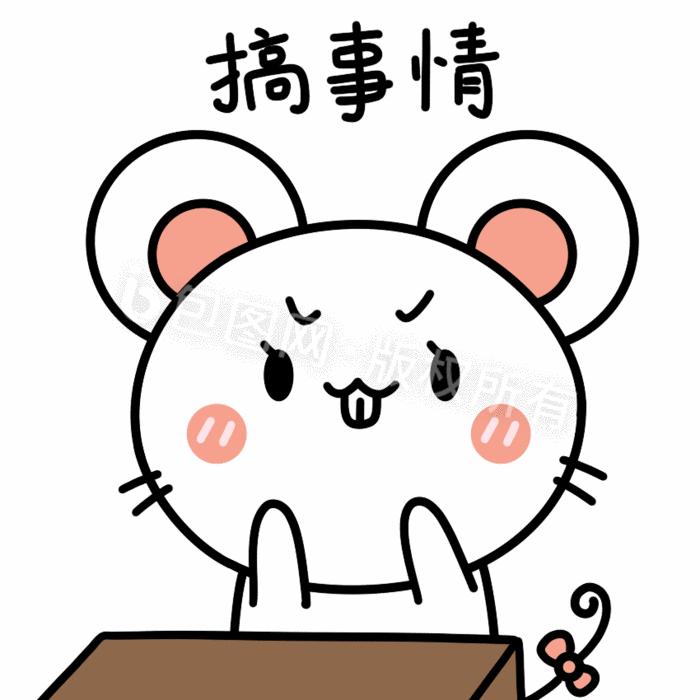 hmg-第十九次售卖
